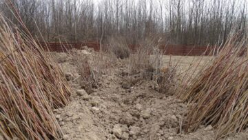 Direcția Silvică Suceava a dat startul campaniei de împădurire a 1.670 de hectare în această primăvară