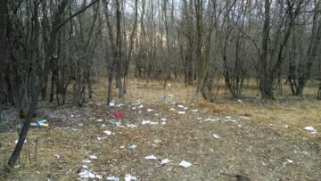 Paturi și canapele vechi se descompun acum în natură, printre sticle și doze metalice