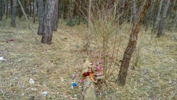 Paturi și canapele vechi se descompun acum în natură, printre sticle și doze metalice