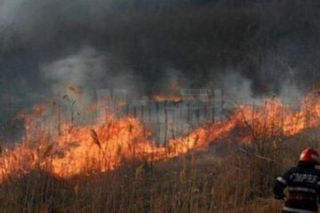 11 incendii de vegetație uscată în județ, în acest debut de săptămână