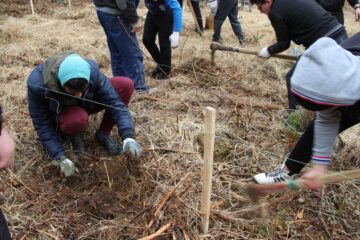 Elevii seminarului au plantat puieți pe o suprafață de 0,8 hectare de teren