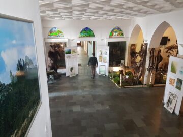 Expoziție de grafică și fotografie dedicată pădurii, pe holurile Direcției Silvice Suceava