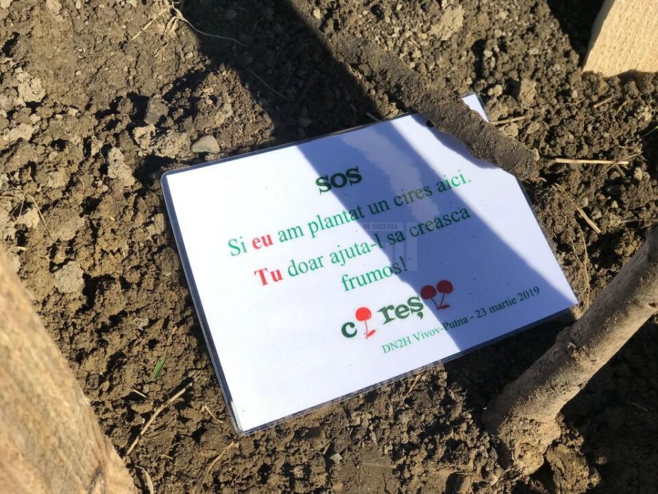 Mesajul de pe ciresi