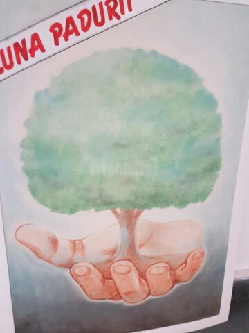 Expoziție de grafică și fotografie dedicată pădurii, pe holurile Direcției Silvice Suceava