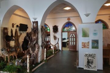 Expoziție de grafică și fotografie dedicată pădurii, pe holurile Direcției Silvice Suceava