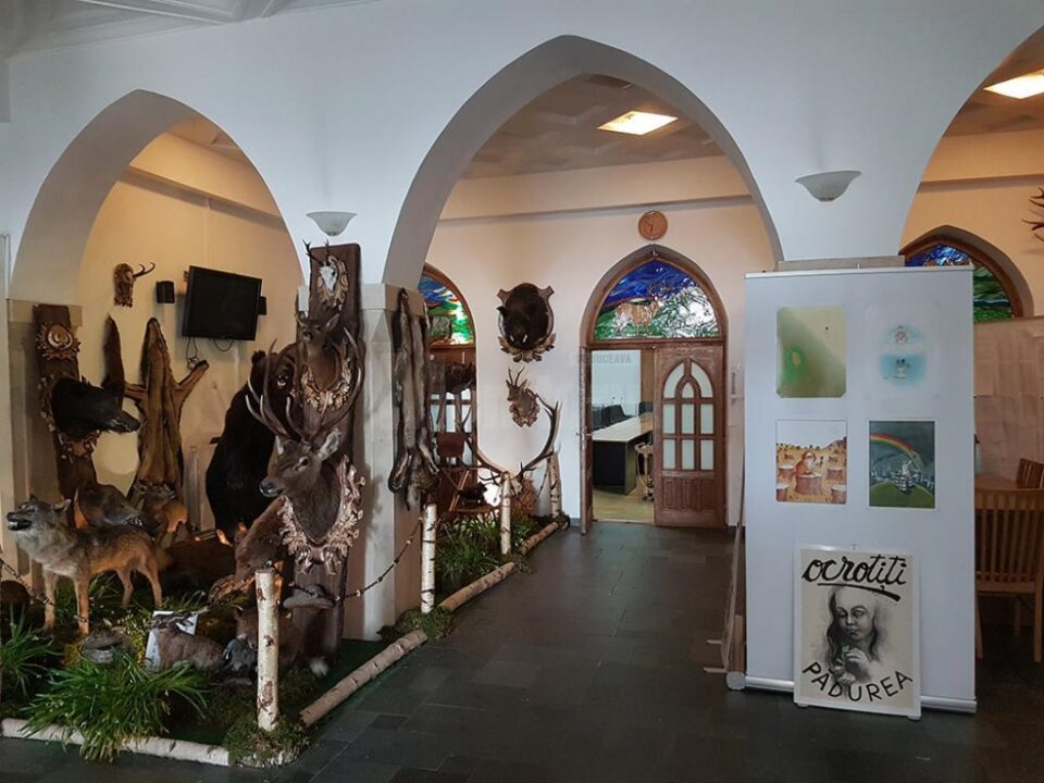 Expoziție de grafică și fotografie dedicată pădurii, pe holurile Direcției Silvice Suceava