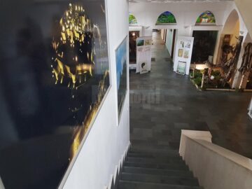 Expoziție de grafică și fotografie dedicată pădurii, pe holurile Direcției Silvice Suceava