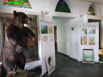 Expoziție de grafică și fotografie dedicată pădurii, pe holurile Direcției Silvice Suceava