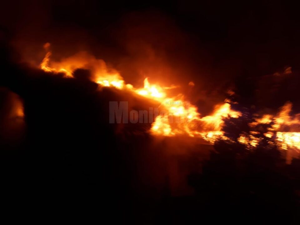 Imagini de coșmar la fața locului