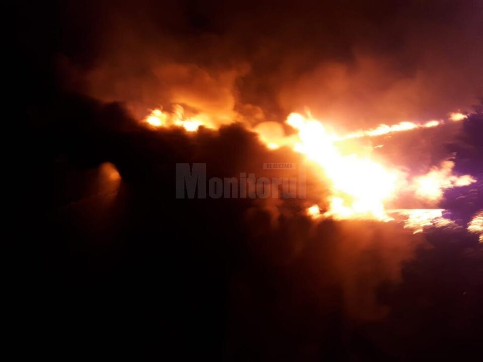 Imagini de coșmar la fața locului