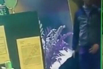 Hoțul, cu haina în mână Hoțul, cu haina în mână