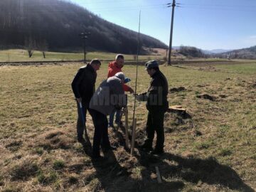 Peste 100 de cireși au fost plantați pe marginea drumului către Putna