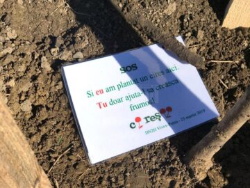 Pe o parte dintre pomi au fost legate mesaje special concepute pentru acest eveniment