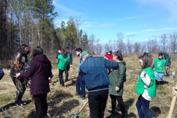 Activitatea ”Plantăm azi pentru oxigenul de mâine”