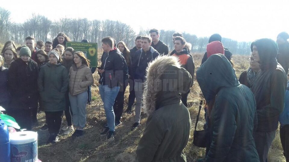 Elevi ai Colegiului ”Spiru Haret” au plantat 1.300 de puieți de gorun, paltin și carpen, la Todirești