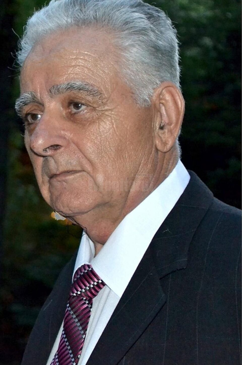 Ion Ciucur
