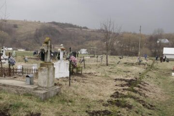 300 de molizi au fost plantați în cimitirul din Siret, în memoria copiilor care au murit în fostul „Orfelinat al groazei”