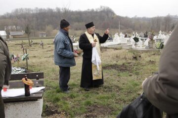 300 de molizi au fost plantați în cimitirul din Siret, în memoria copiilor care au murit în fostul „Orfelinat al groazei”. Foto: Ema MOTRESCU