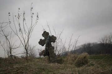 300 de molizi au fost plantați în cimitirul din Siret, în memoria copiilor care au murit în fostul „Orfelinat al groazei”. Foto: Ema MOTRESCU