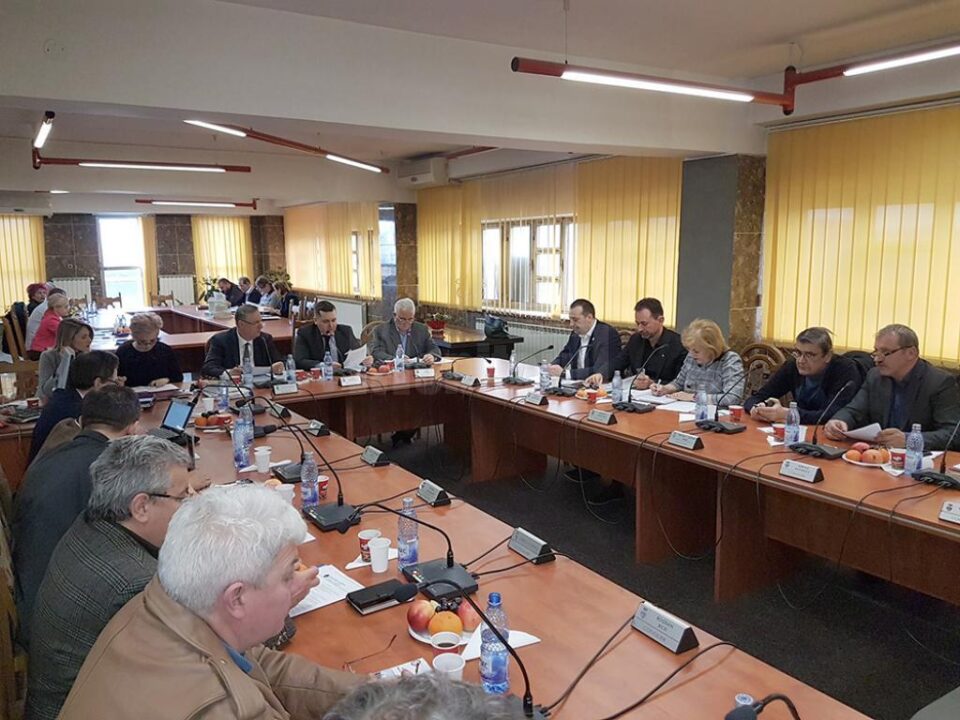 Proiectul de realizare a unei noi zone de agrement, de o parte și de alta a podului peste apa Sucevei, a fost aprobat în Consiliul Local