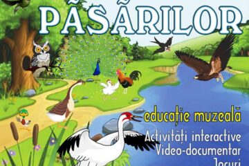 Ziua Internațională a Păsărilor, marcată la Muzeul de Științele Naturii Suceava