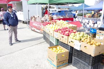 Peste 60 de firme participă la Agro Expo Bucovina