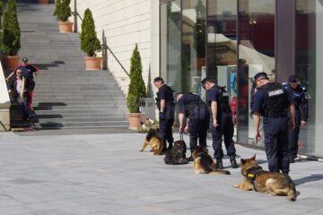 Un moment de atracție, mai ales pentru copii, va fi cel de dresaj cu câinii de serviciu