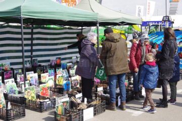 Peste 60 de firme participă la Agro Expo Bucovina