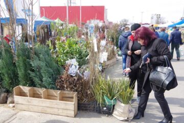 Peste 60 de firme au participat la Agro Expo Bucovina