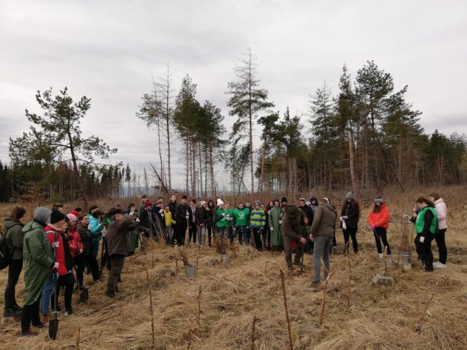 Elevii Școlii Gimnaziale Nr. 4 Suceava au plantat 1.000 de puieți la Todirești