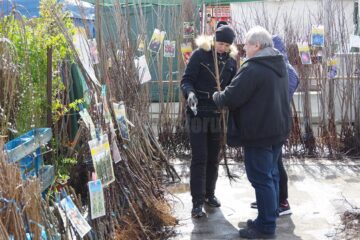 Peste 60 de firme au participat la Agro Expo Bucovina