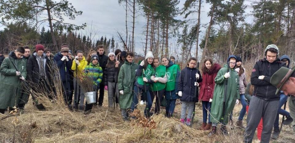Elevii Școlii Gimnaziale Nr. 4 Suceava au plantat 1.000 de puieți la Todirești