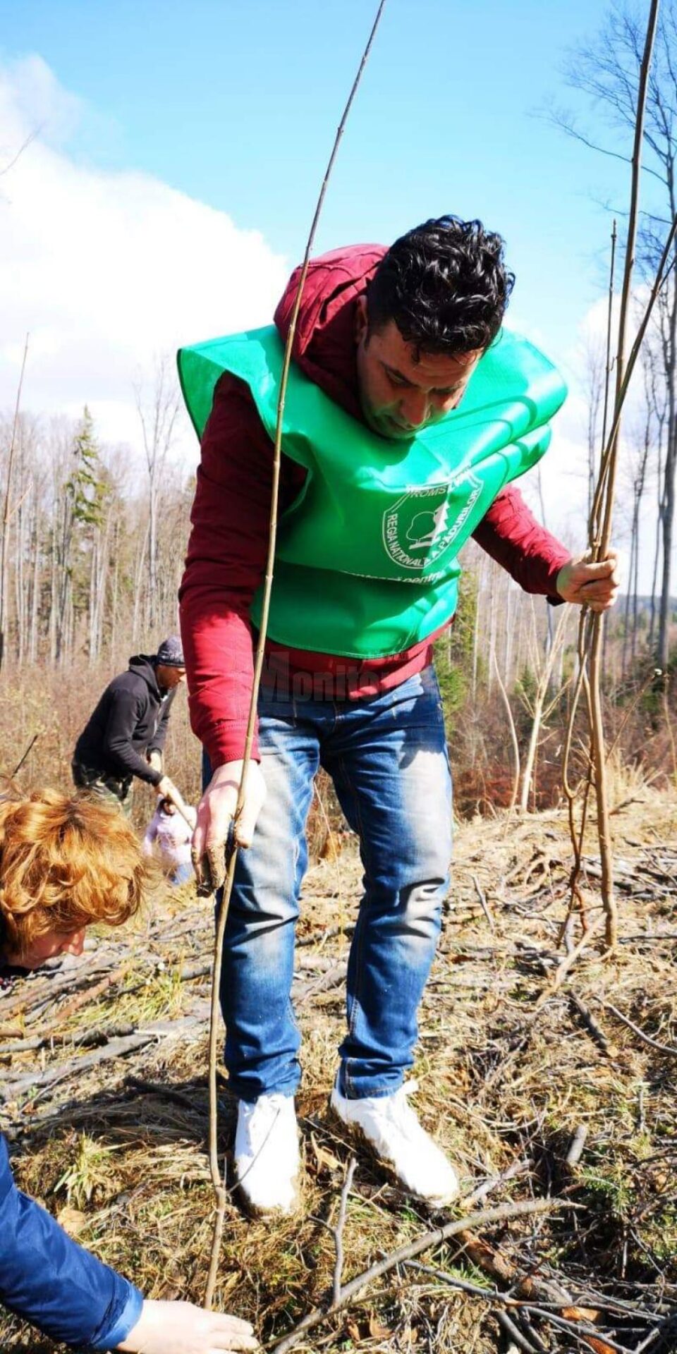 În cătunul Voievodeasa au fost plantați 1.200 de puieți