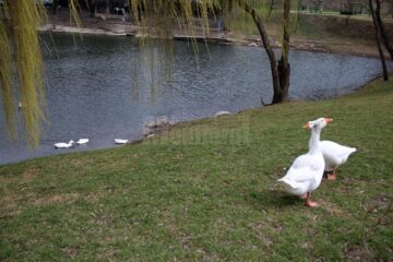 Deschiderea zonei de agrement a avut loc sâmbătă