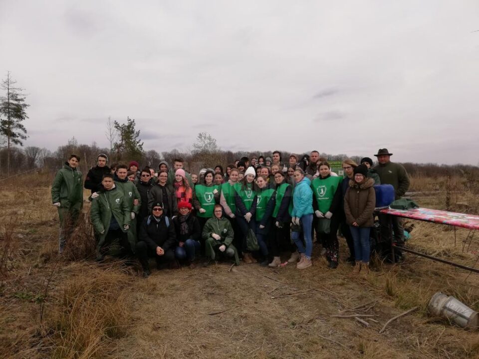 Elevii Școlii Gimnaziale Nr. 4 Suceava au plantat 1.000 de puieți la Todirești