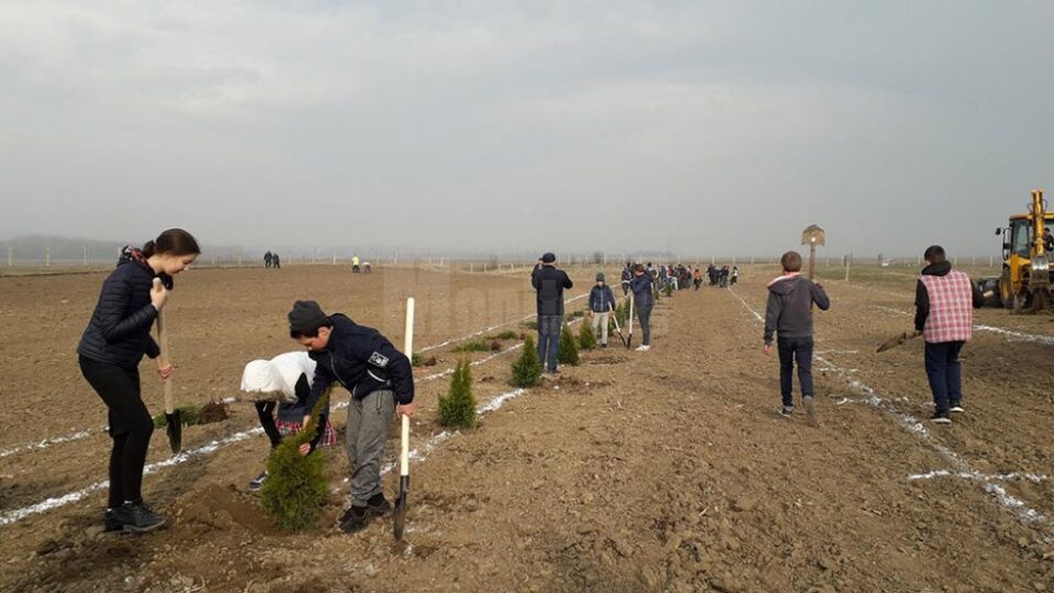 Puieți plantați de elevii de la Prelipca pentru înființarea unui parc dendrologic în lunca râului Suceava