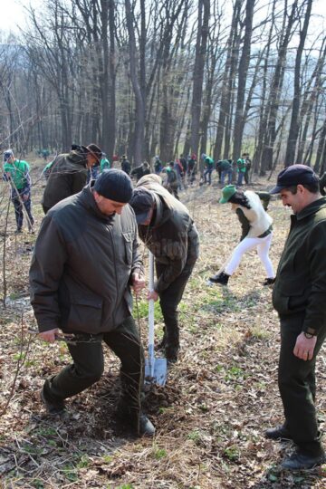 2.300 de stejari, paltini, frasini și cireși, plantați la Dolhasca cu peste 150 de voluntari