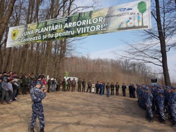 2.300 de stejari, paltini, frasini și cireși, plantați la Dolhasca cu peste 150 de voluntari