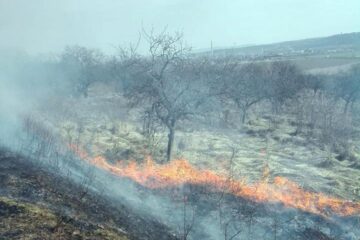 Incendierile de vegetație pot duce la incendii de mari proporții, cu pagube mari, și chiar la tragedii