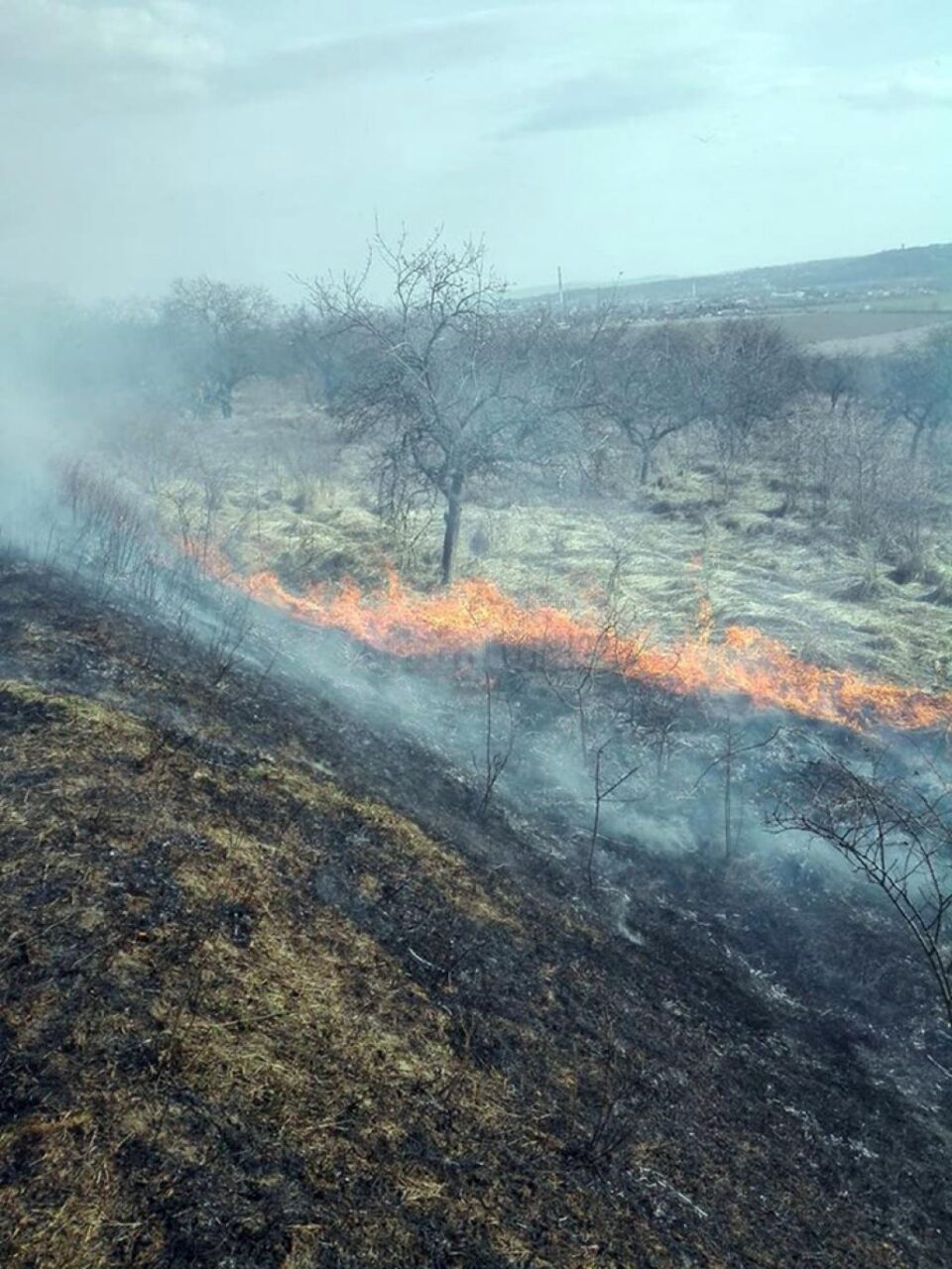 Incendierile de vegetație pot duce la incendii de mari proporții, cu pagube mari, și chiar la tragedii Incendierile de vegetație pot duce la incendii de mari proporții, cu pagube mari, și chiar la tragedii