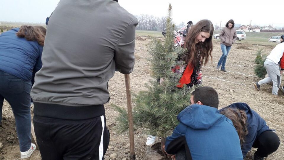 Puieți plantați de elevii de la Prelipca pentru înființarea unui parc dendrologic în lunca râului Suceava