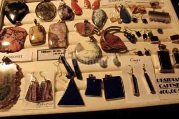 "Mineralia" la Suceava