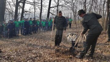 2.300 de stejari, paltini, frasini și cireși, plantați la Dolhasca cu peste 150 de voluntari