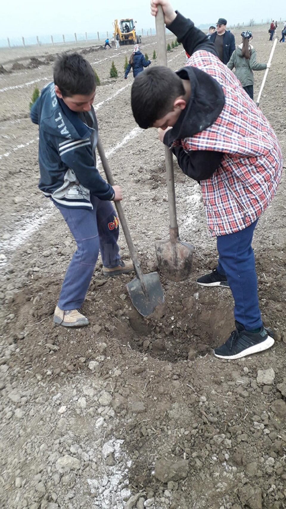 Puieți plantați de elevii de la Prelipca pentru înființarea unui parc dendrologic în lunca râului Suceava