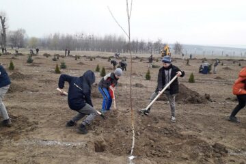 Elevii au plantat puieți de mesteceni, sălcii, brazi și tuia