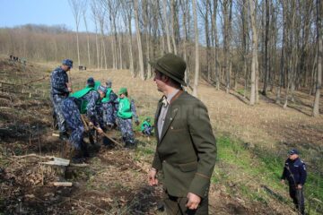 2.300 de stejari, paltini, frasini și cireși, plantați la Dolhasca cu peste 150 de voluntari