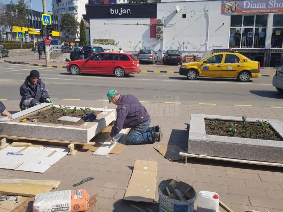 Parcul din intersecția de la Nordic, din municipiul Suceava, va fi transformat într-o oază de verdeață și relaxare Parcul din intersecția de la Nordic, din municipiul Suceava, va fi transformat într-o oază de verdeață și relaxare