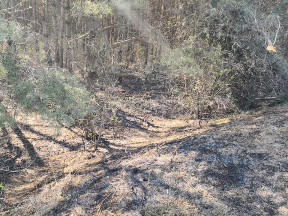 Incendiu în pădure, de la o țigară aruncată din tren