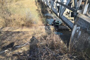 Incendiu în pădure, de la o țigară aruncată din tren