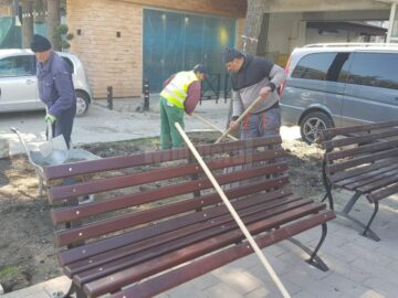 Fântâna arteziană de la Nordic, reparată și înconjurată de verdeață și flori